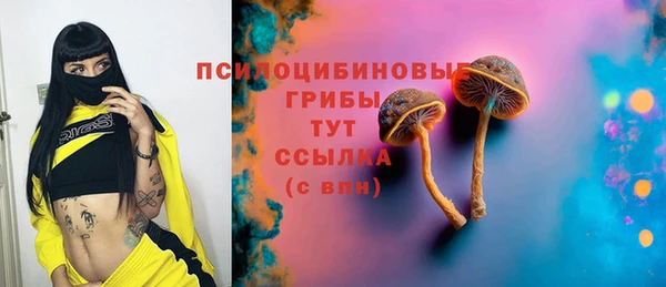 2c-b Алзамай