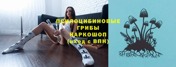 2c-b Алзамай